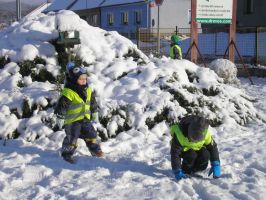 Náhodná fotogalerie