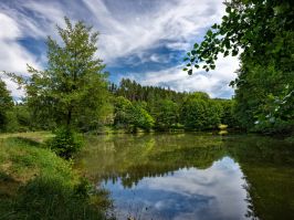 Náhodná fotogalerie