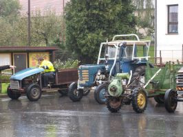 Náhodná fotogalerie