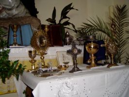 Náhodná fotogalerie